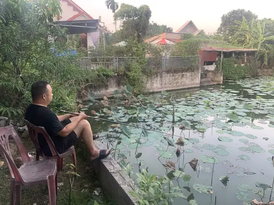 Nhà Toàn béo